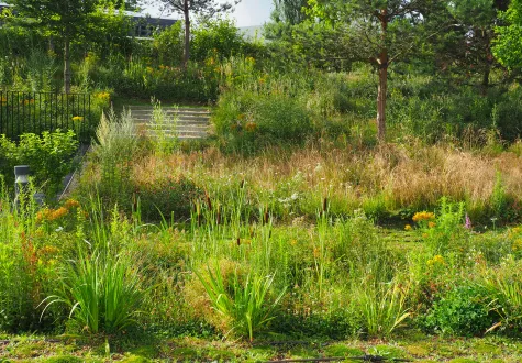 jardin favorisant la biodiversité