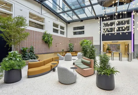 végétalisation intérieure de bureaux