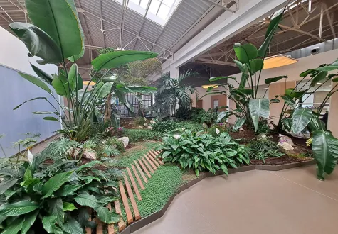 plantes d'intérieur dans une entreprise tertiaire